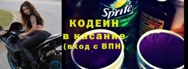 прущие грибы Ладушкин